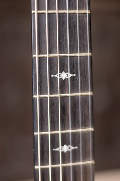 Taylor 314ce-N Nylon Grand Auditorium Acoustic/Electric with Hardshell Case