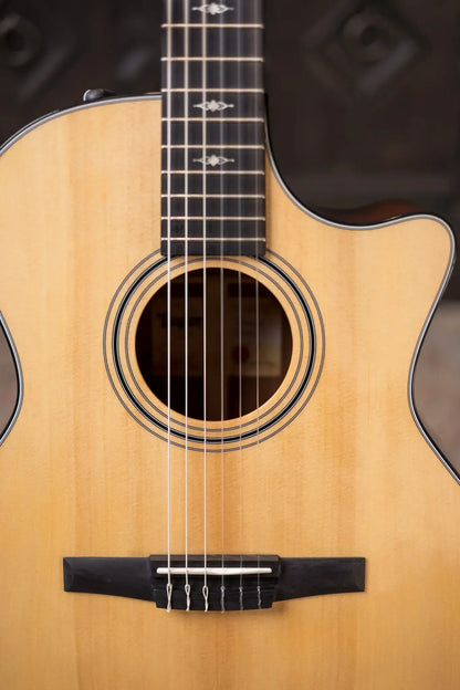 Taylor 314ce-N Nylon Grand Auditorium Acoustic/Electric with Hardshell Case