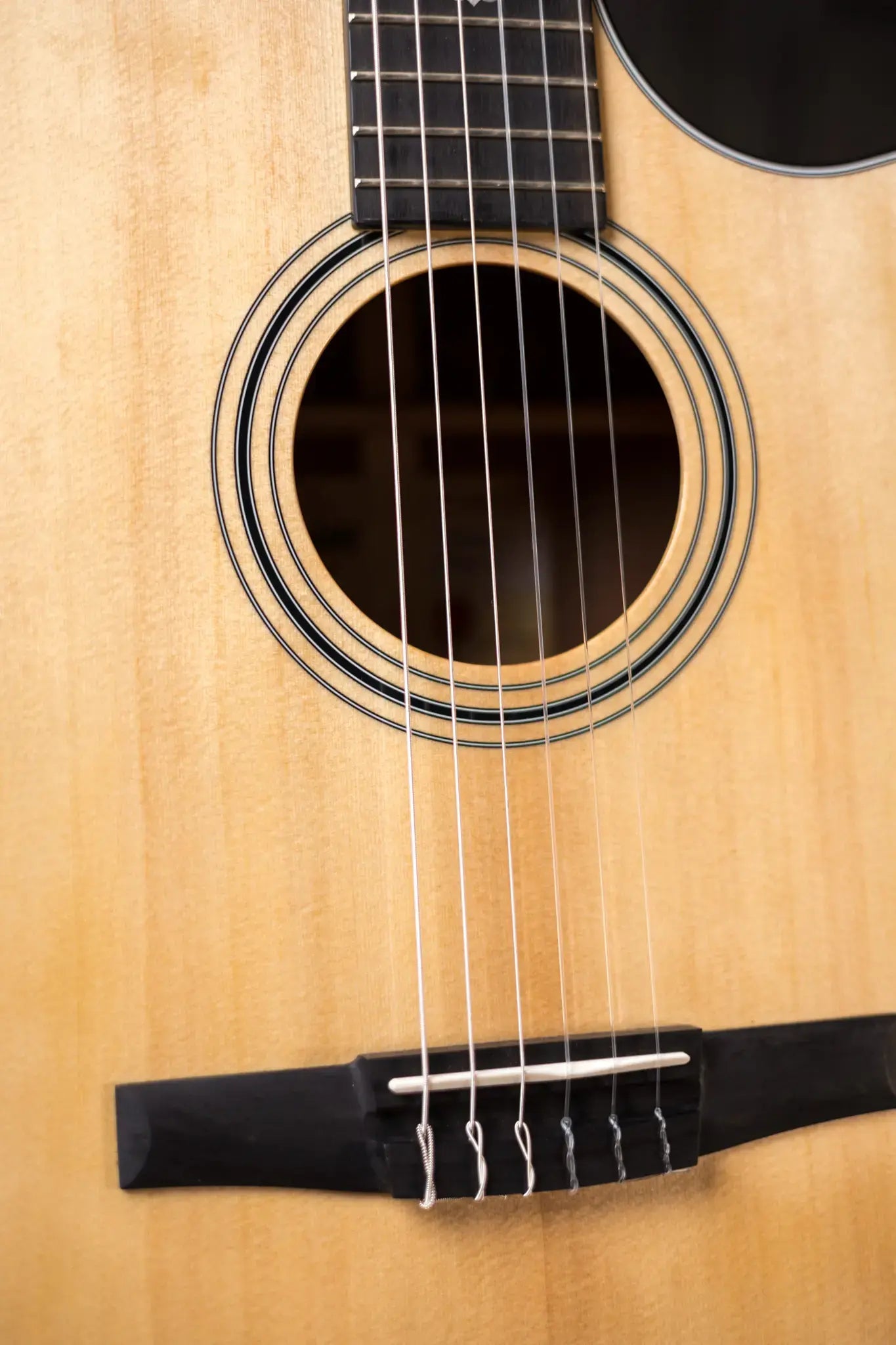 Taylor 314ce-N Nylon Grand Auditorium Acoustic/Electric with Hardshell Case