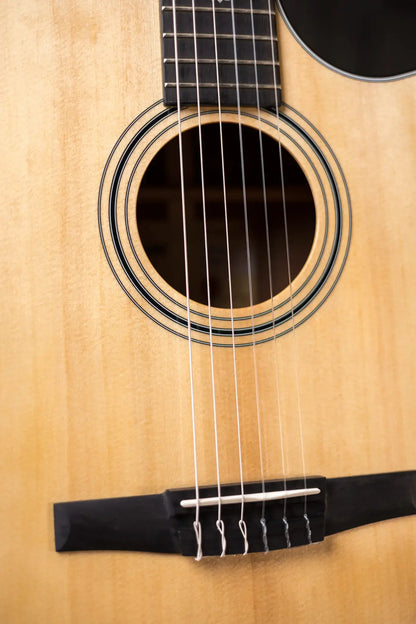 Taylor 314ce-N Nylon Grand Auditorium Acoustic/Electric with Hardshell Case