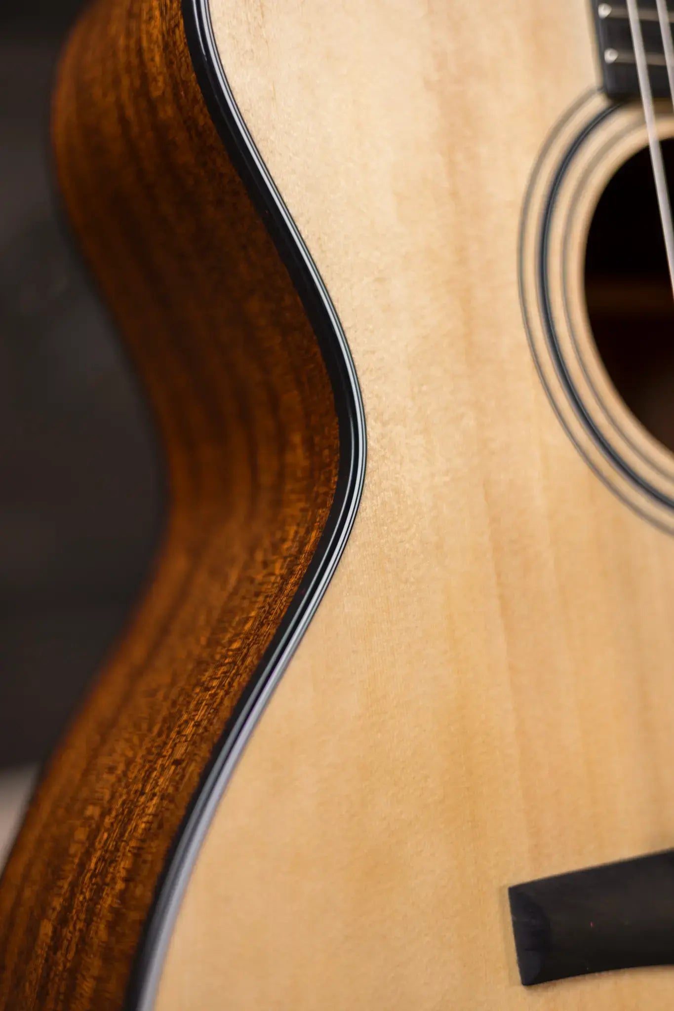 Taylor 314ce-N Nylon Grand Auditorium Acoustic/Electric with Hardshell Case