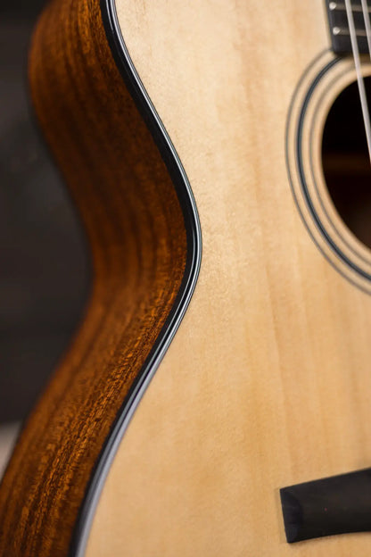 Taylor 314ce-N Nylon Grand Auditorium Acoustic/Electric with Hardshell Case