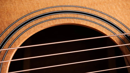 Taylor 314ce Studio Grand Auditorium Acoustic/Electric Guitar - Natural with Gig Bag