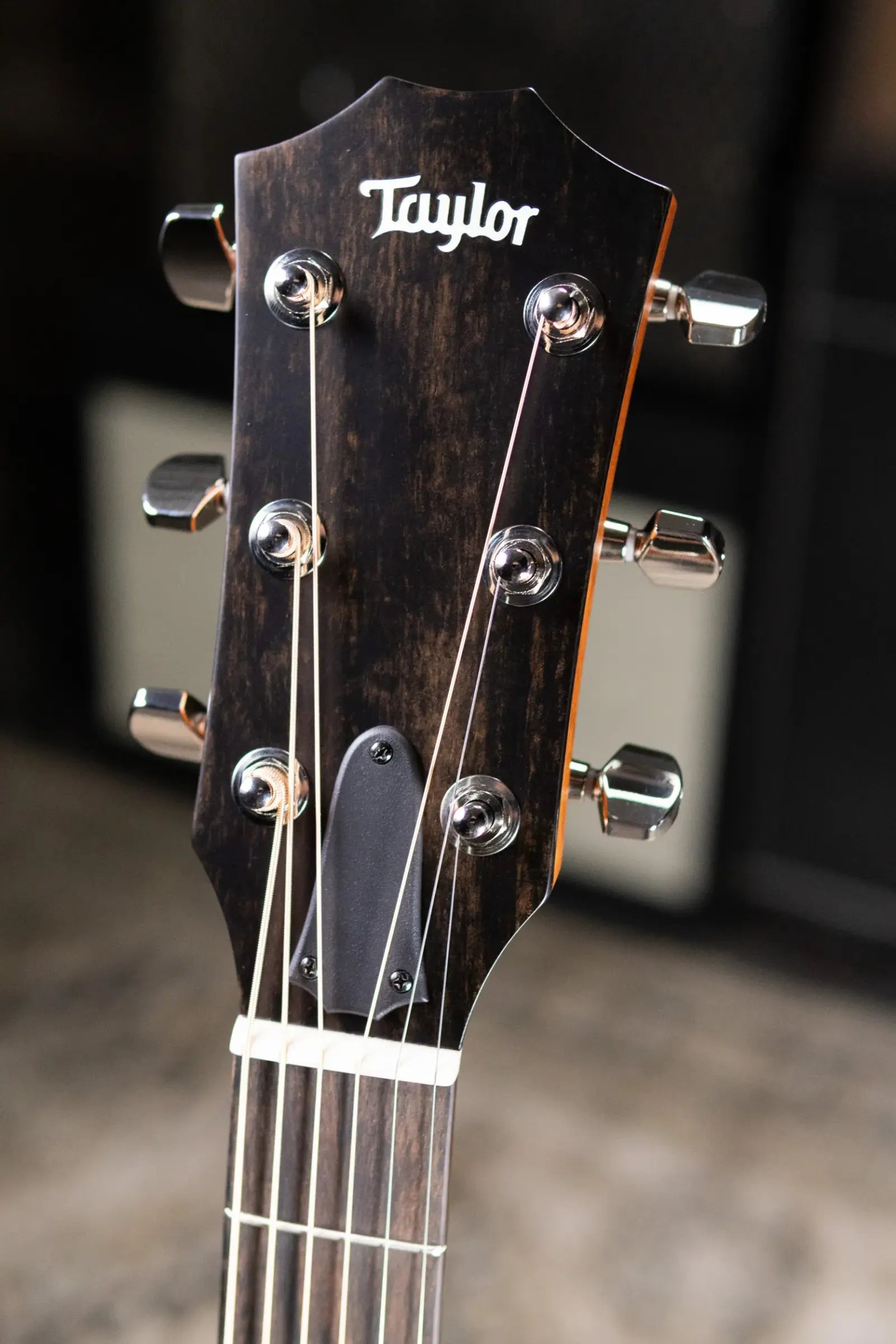 Taylor 314ce Studio Grand Auditorium Acoustic/Electric Guitar - Natural with Gig Bag