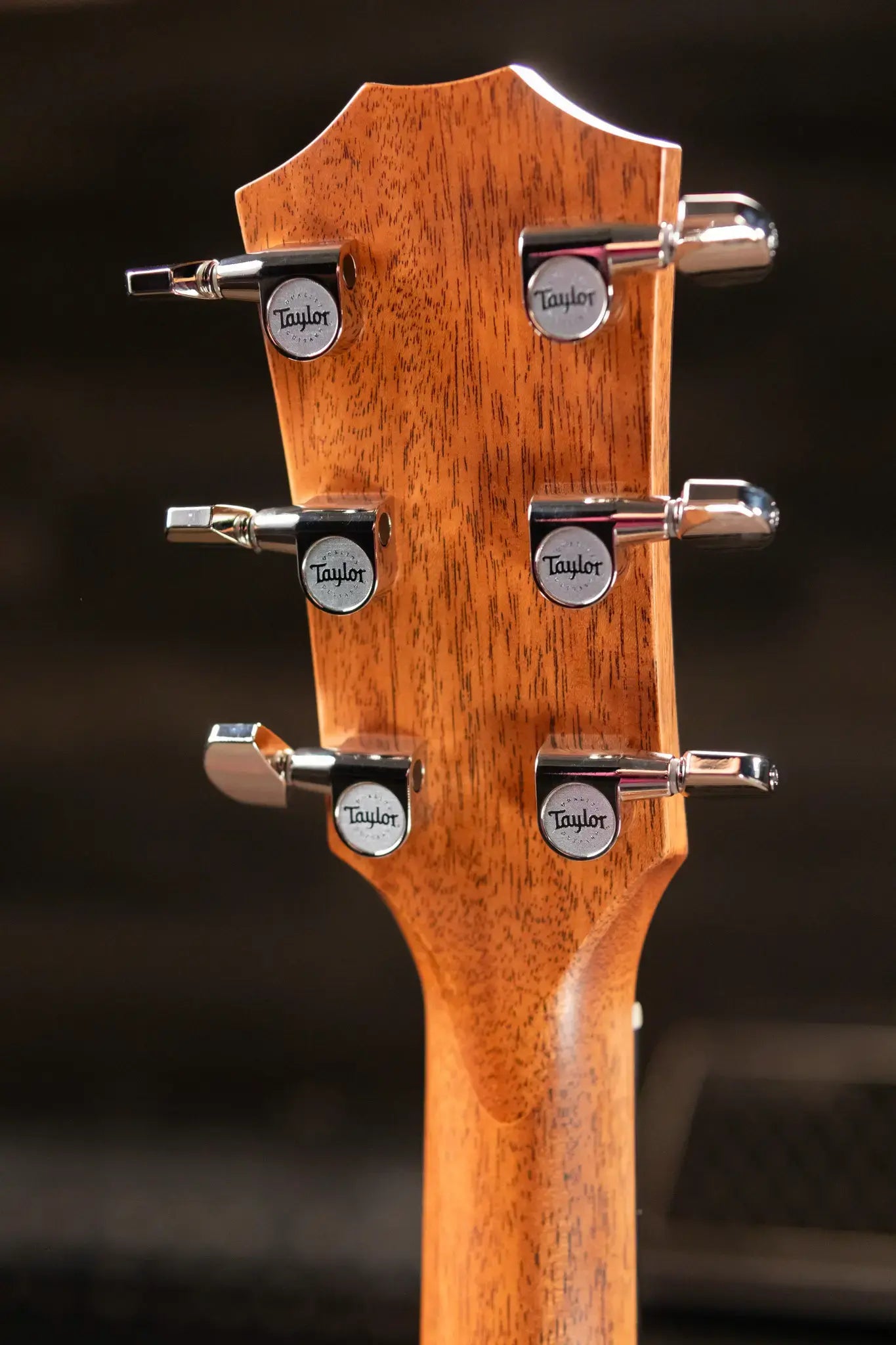 Taylor 314ce Studio Grand Auditorium Acoustic/Electric Guitar - Shaded Edge Burst Top with Gig Bag