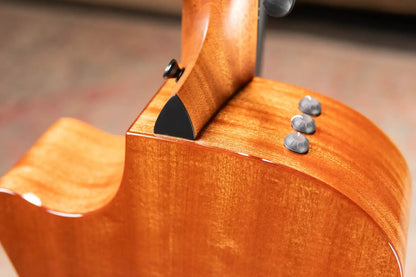 Taylor 314ce Studio Grand Auditorium Acoustic/Electric Guitar - Shaded Edge Burst Top with Gig Bag