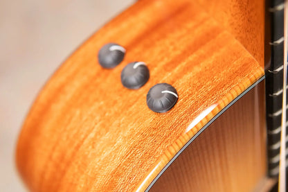 Taylor 314ce Studio Grand Auditorium Acoustic/Electric Guitar - Shaded Edge Burst Top with Gig Bag