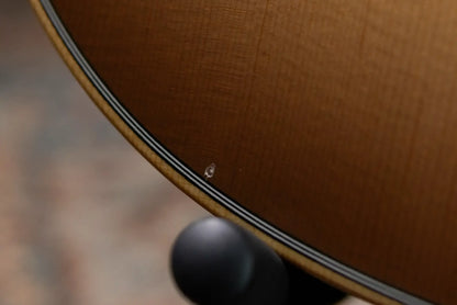 Taylor 314ce Studio Grand Auditorium Acoustic/Electric Guitar - Shaded Edge Burst with Gig Bag - Used