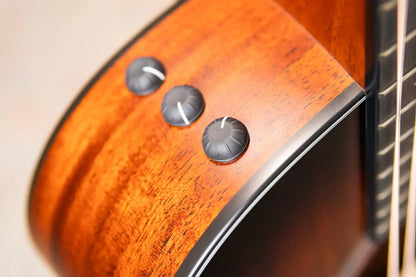 Taylor 322ce Grand Concert Acoustic/Electric Guitar - Shaded Edge Burst with Hardshell Case
