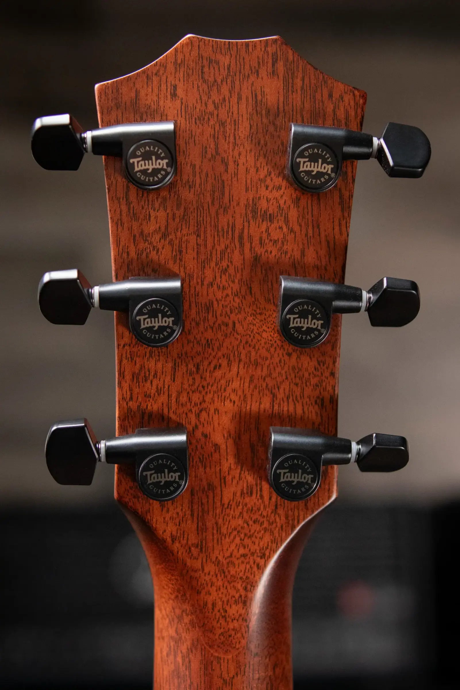 Taylor 322ce Grand Concert Acoustic/Electric Guitar - Shaded Edge Burst with Hardshell Case