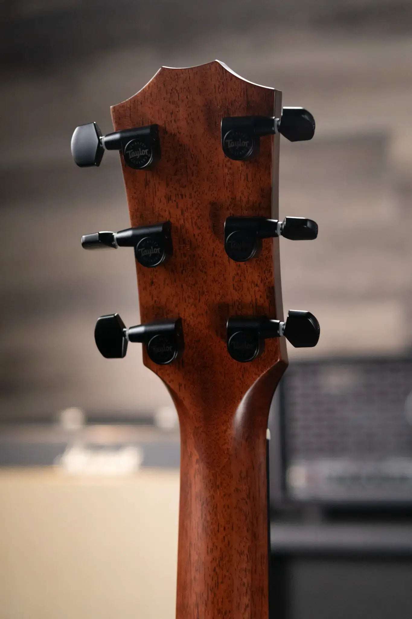 Taylor 324ce Baritone-6 LTD Grand Auditorium Acoustic/Electric Guitar with Hardshell Case