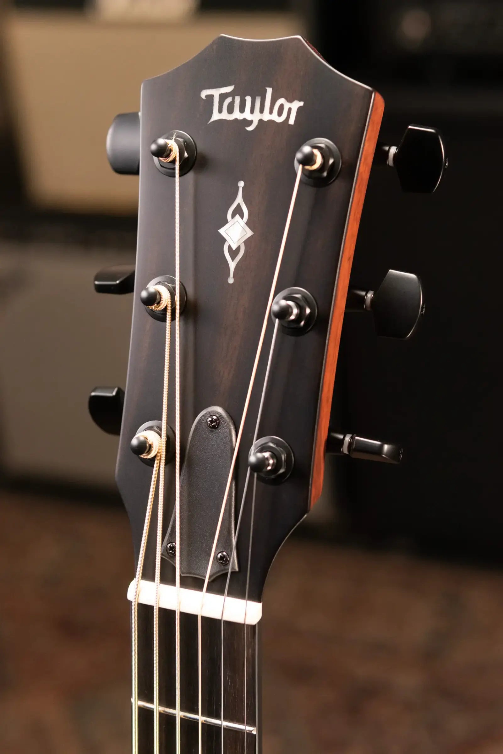Taylor 324ce Baritone-6 LTD Grand Auditorium Acoustic/Electric Guitar with Hardshell Case