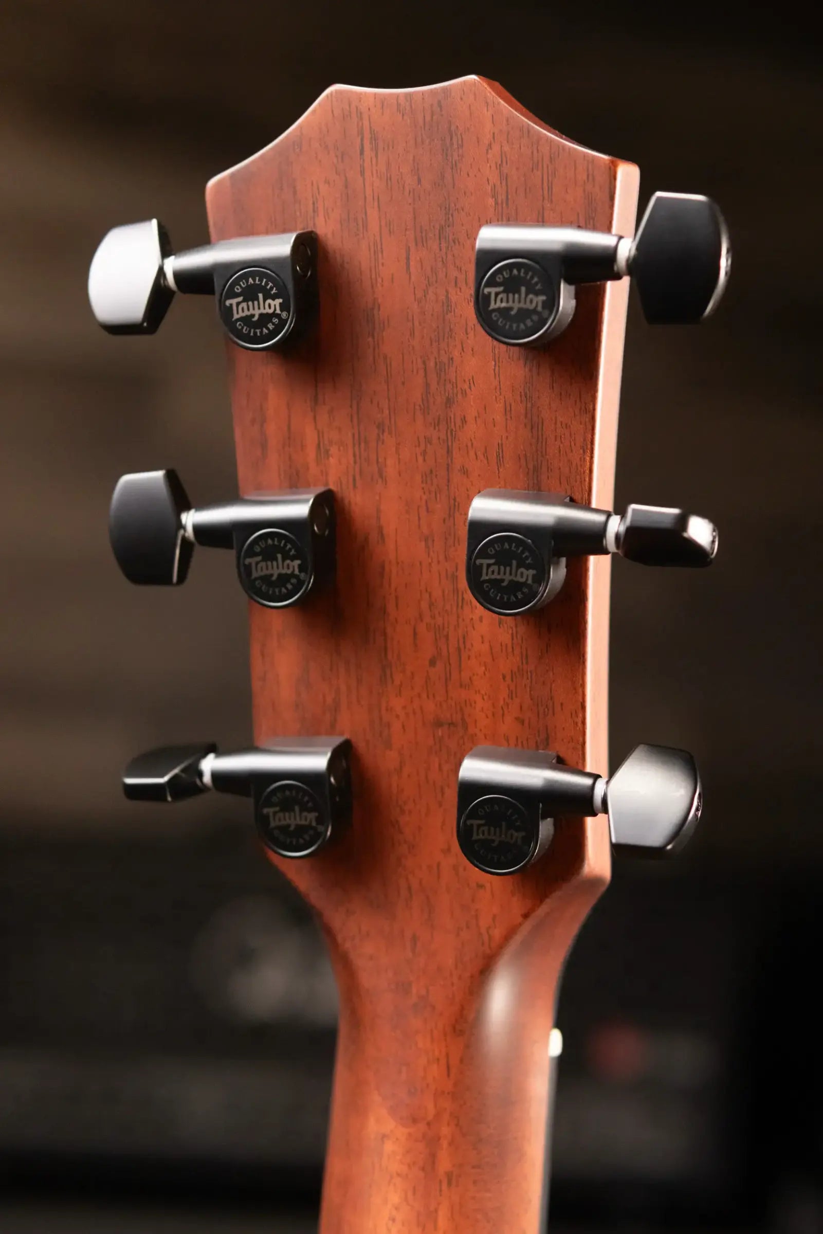 Taylor 324ce Baritone-6 LTD Grand Auditorium Acoustic/Electric Guitar with Hardshell Case