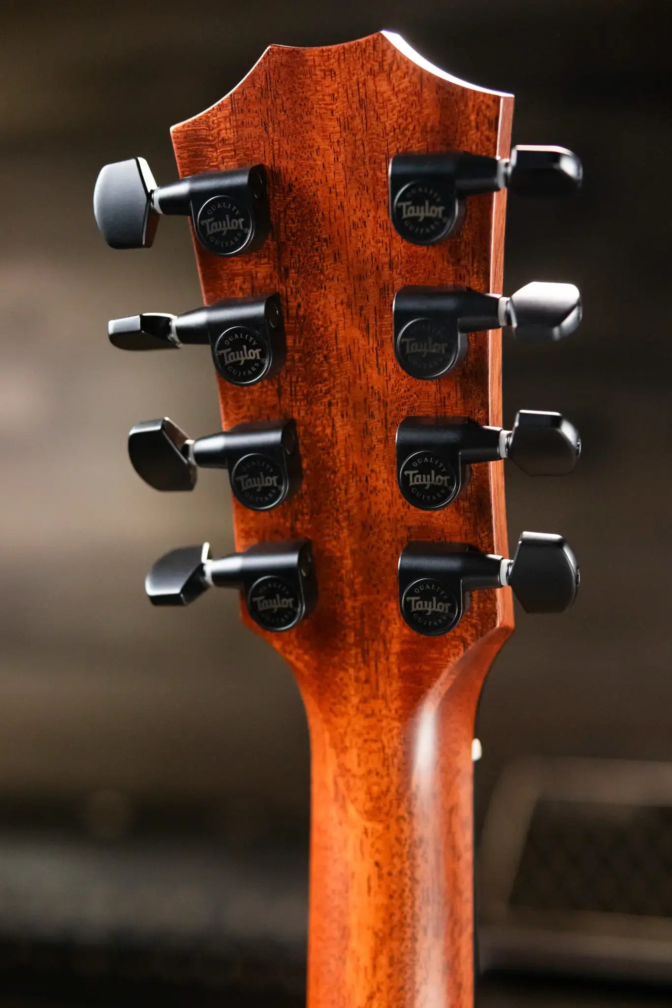 Taylor 324ce Baritone-8 LTD Grand Auditorium Acoustic/Electric Guitar with Hardshell Case