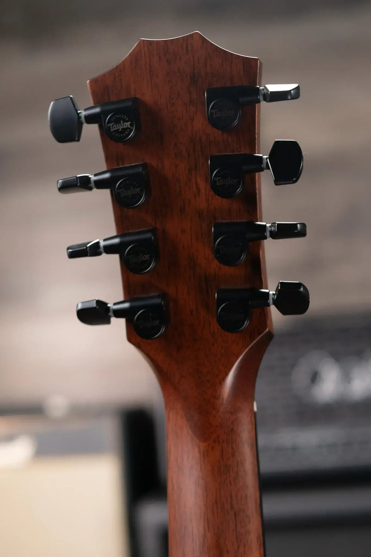 Taylor 324ce Baritone-8 LTD Grand Auditorium Acoustic/Electric Guitar with Hardshell Case - Demo