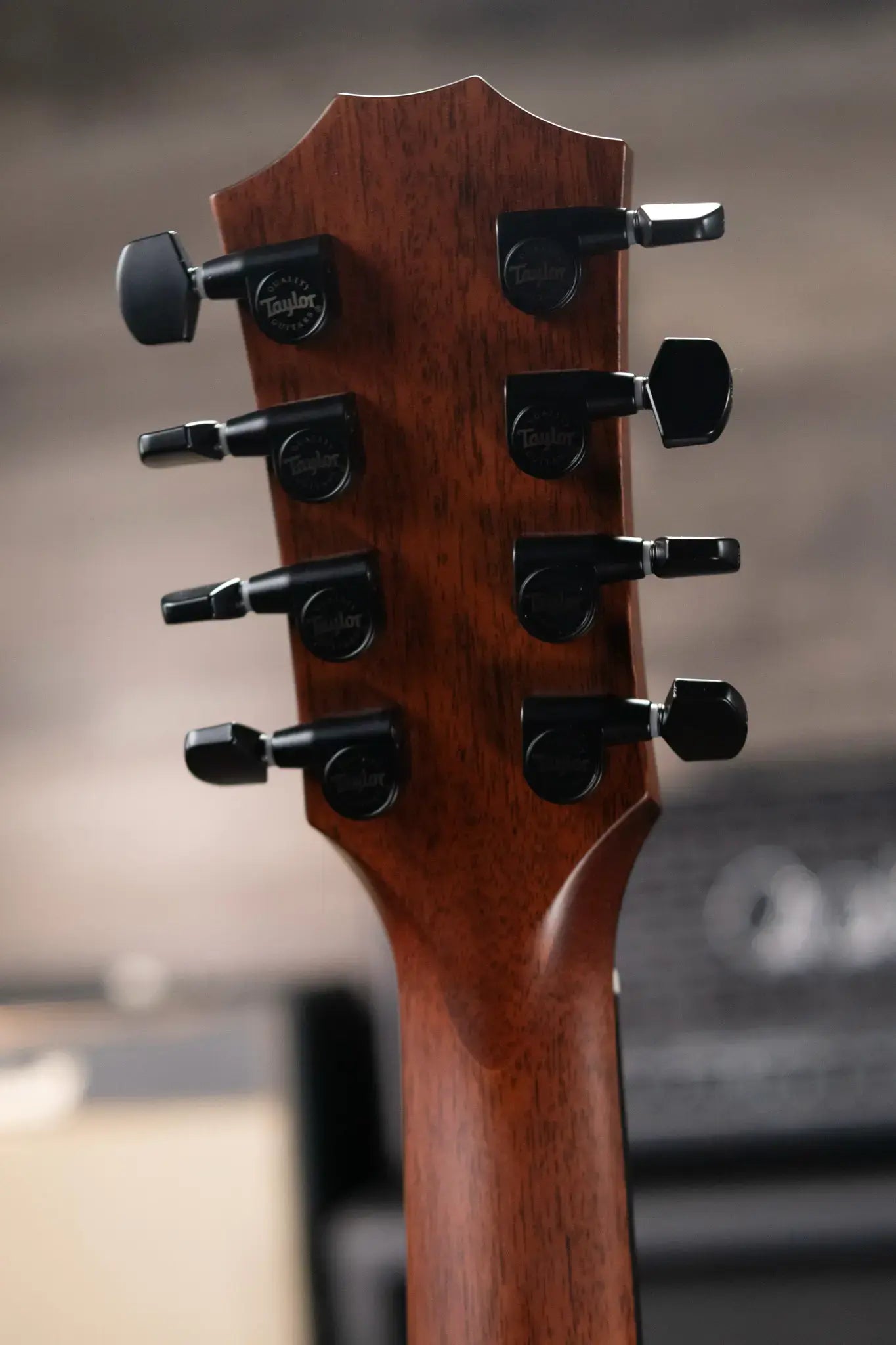 Taylor 324ce Baritone-8 LTD Grand Auditorium Acoustic/Electric Guitar with Hardshell Case - Demo