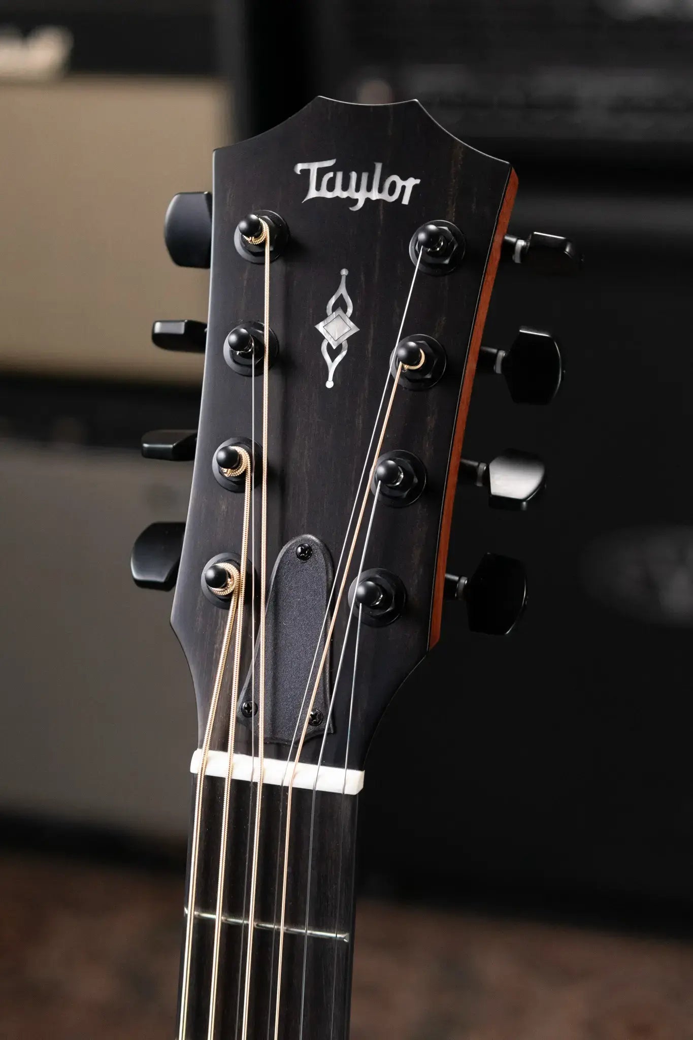 Taylor 324ce Baritone-8 LTD Grand Auditorium Acoustic/Electric Guitar with Hardshell Case