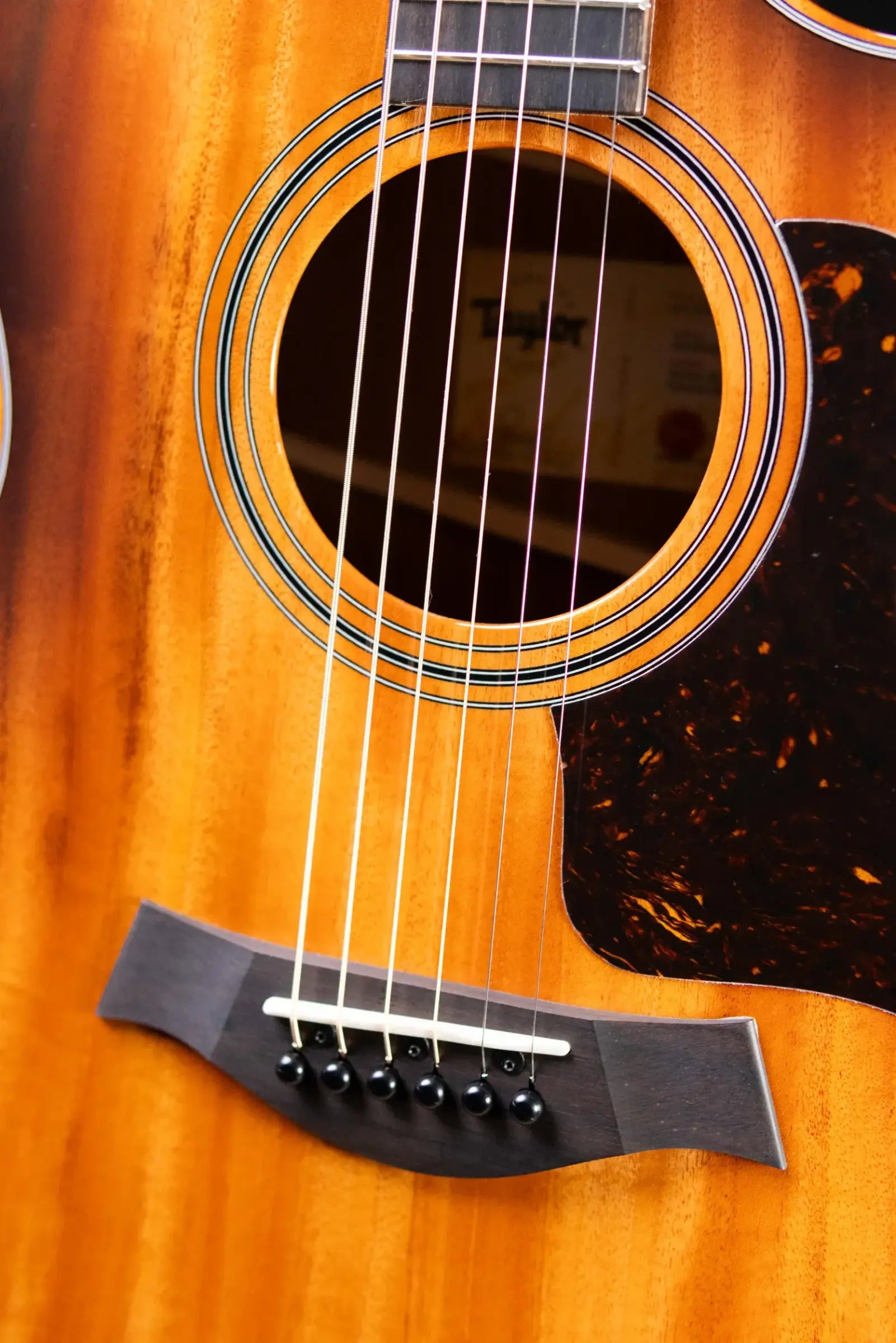 Taylor 324ce Studio Special Edition Grand Auditorium Acoustic/Electric Guitar - Shaded Edge Burst with Gig Bag