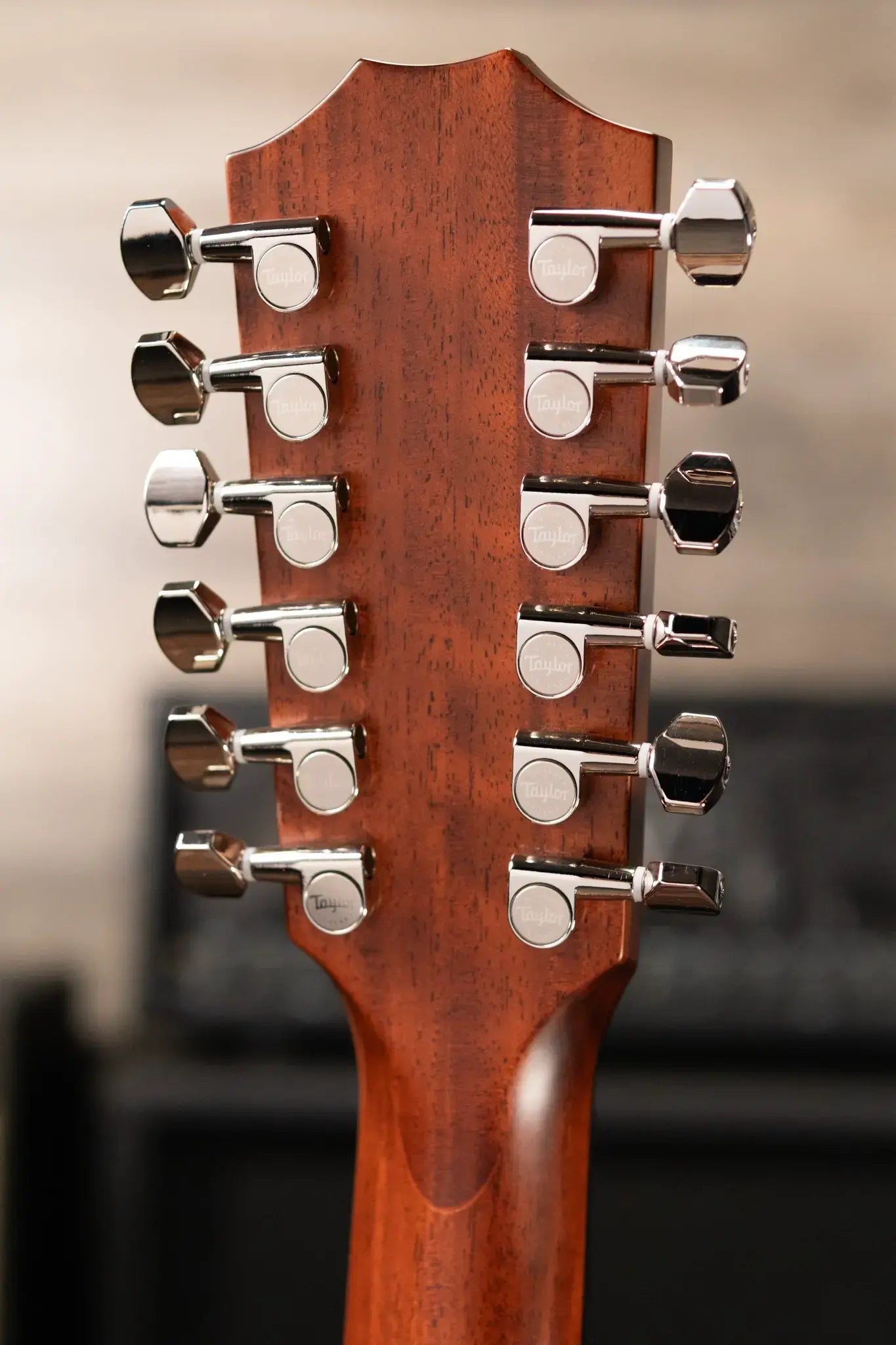 Taylor 354ce 12-String Acoustic/Electric Guitar with Hardshell Case - Floor Model