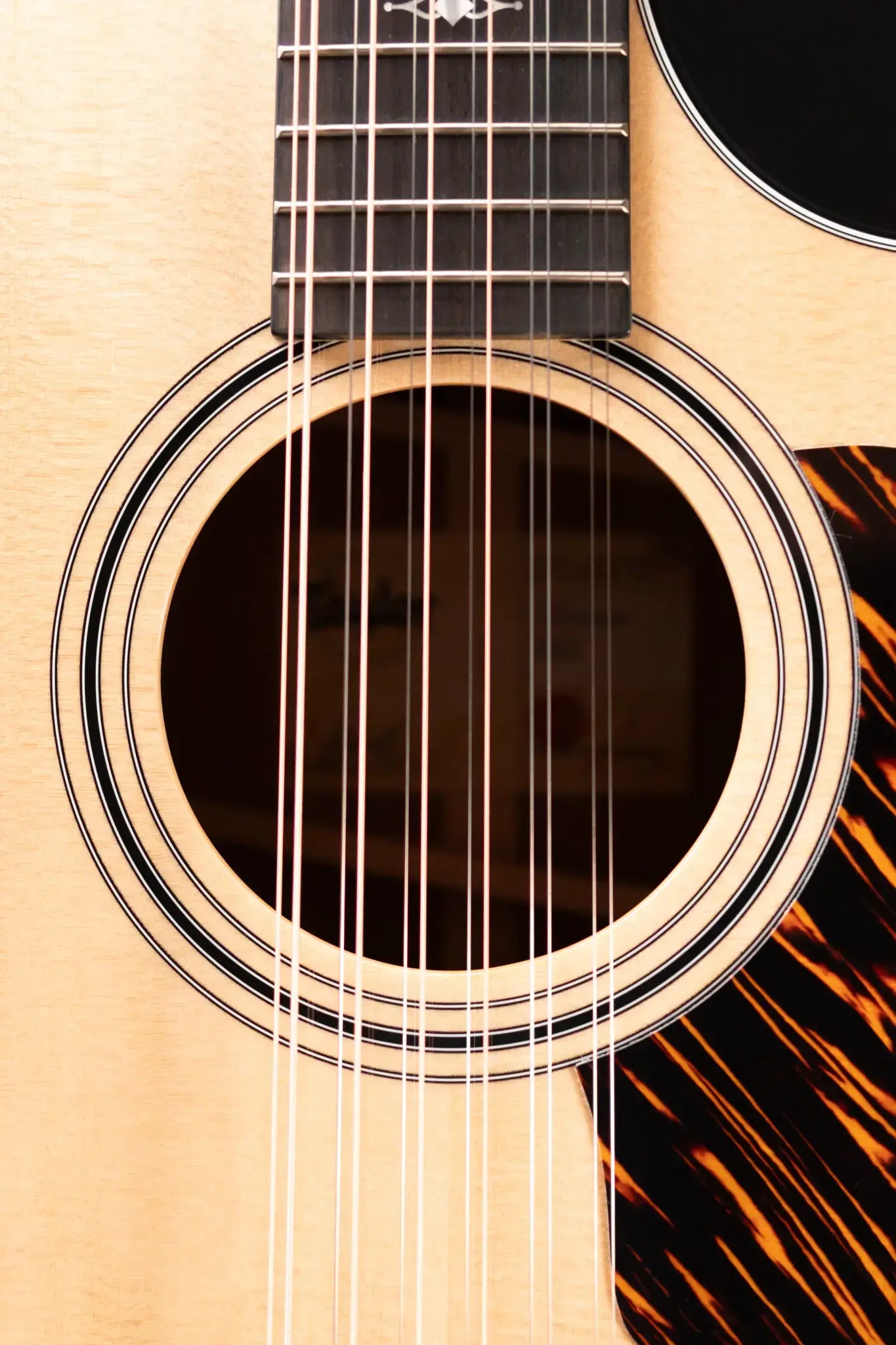 Taylor 354ce 12-String Acoustic/Electric Guitar with Hardshell Case - Floor Model