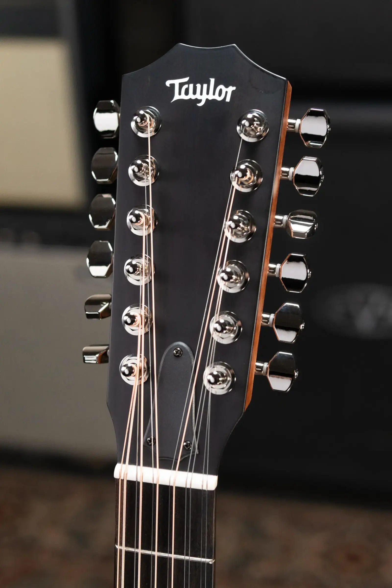Taylor 354ce Studio Special Edition 12-String Grand Auditorium Acoustic/Electric Guitar - Honeyburst with Structured Gig Bag
