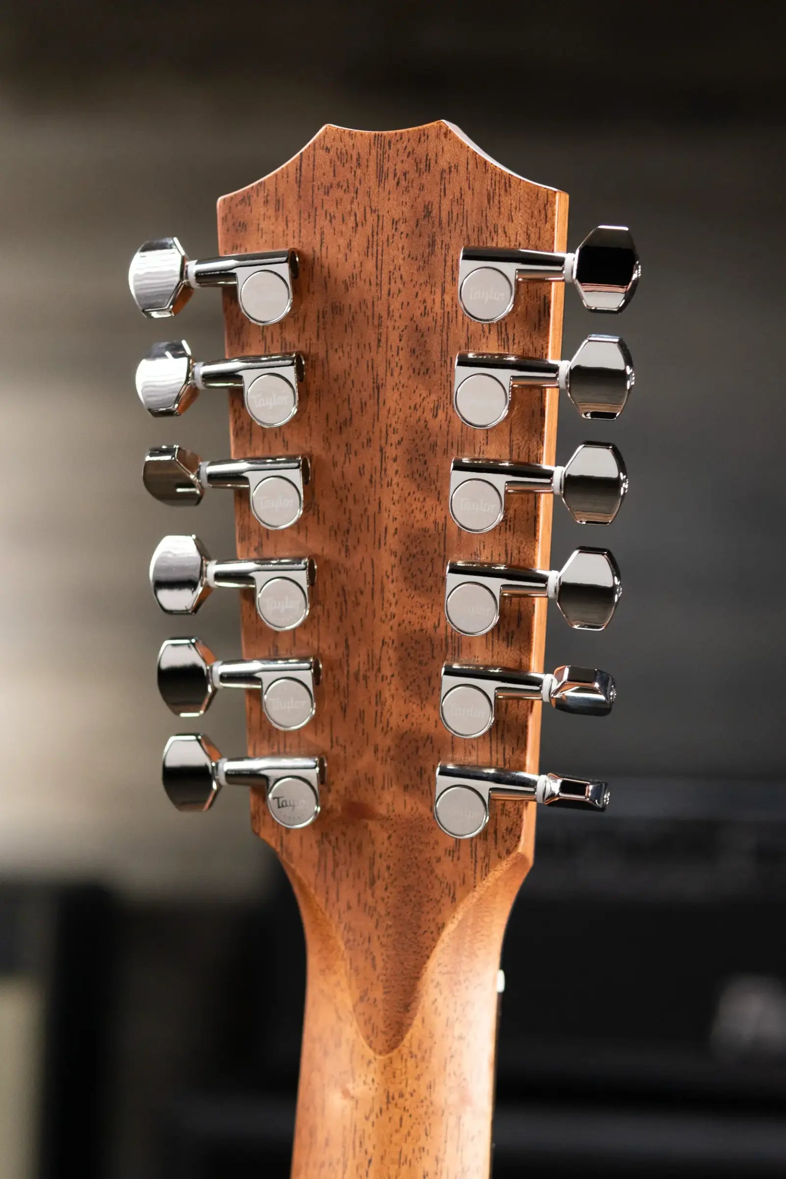 Taylor 354ce Studio Special Edition 12-String Grand Auditorium Acoustic/Electric Guitar - Honeyburst with Structured Gig Bag