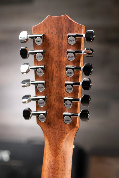 Taylor 354ce Studio Special Edition Acoustic/Electric Guitar - Honeyburst with Gig Bag