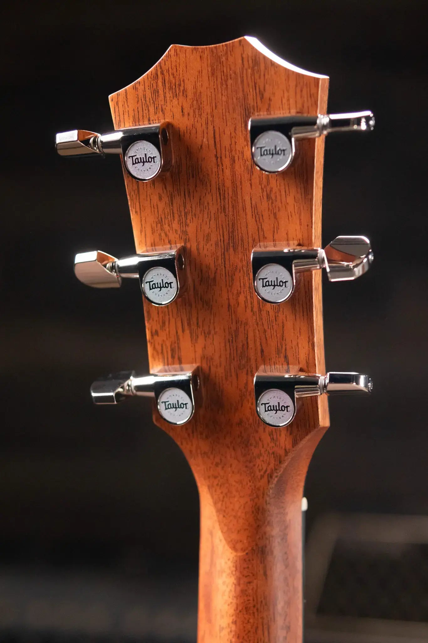 Taylor 414ce Studio Grand Auditorium Acoustic/Electric Guitar - Natural with Gig Bag