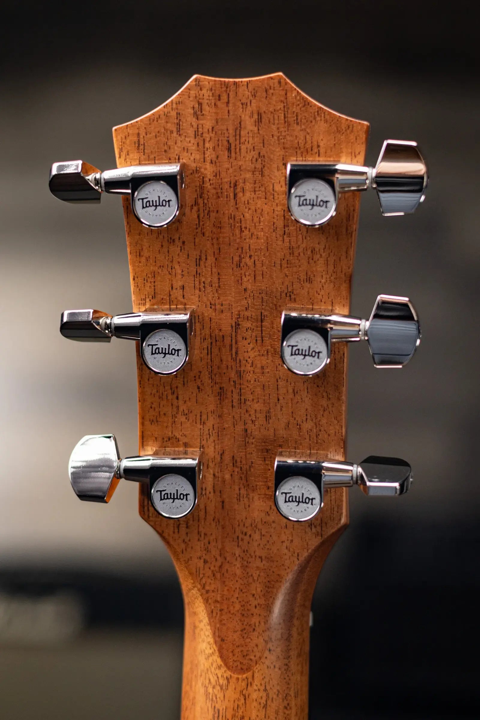 Taylor 414ce Studio Grand Auditorium Acoustic/Electric Guitar - Natural with Gig Bag