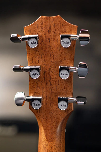 Taylor 414ce Studio Grand Auditorium Acoustic/Electric Guitar - Natural with Gig Bag