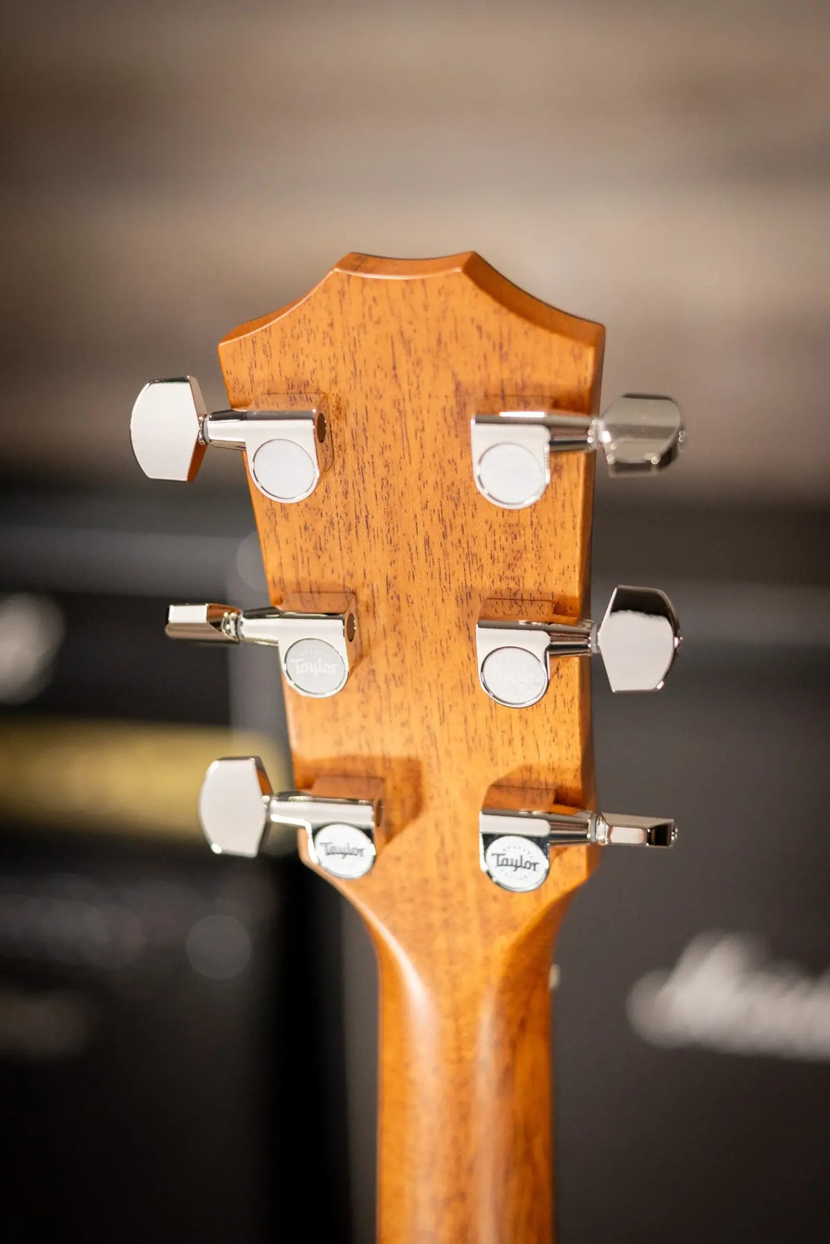 Taylor 414ce Studio Grand Auditorium Acoustic/Electric Guitar - Natural with Gig Bag