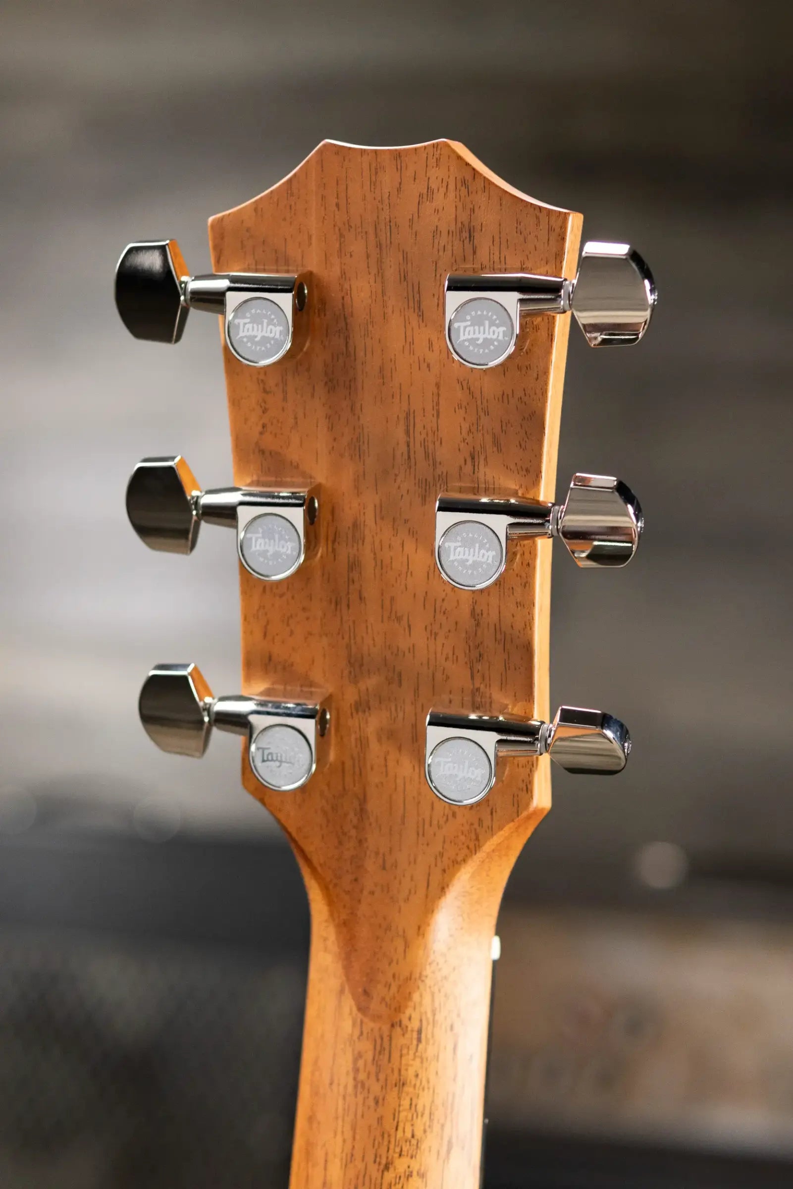 Taylor 414ce Studio Grand Auditorium Acoustic/Electric Guitar - Natural with Gig Bag
