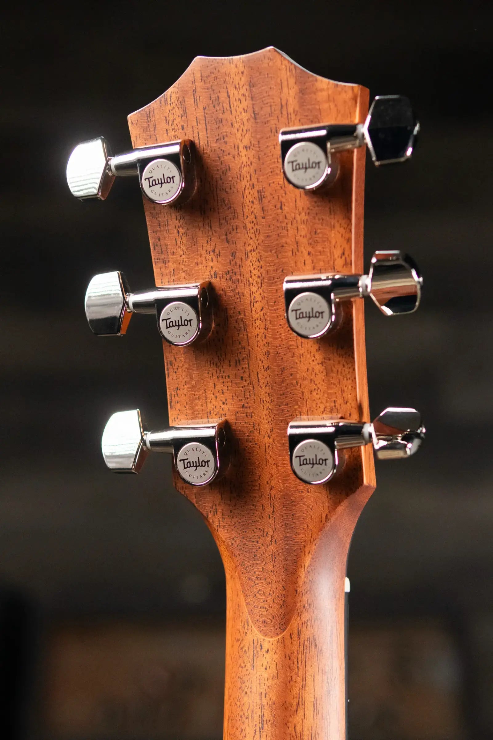 Taylor 414ce Studio Grand Auditorium Acoustic/Electric Guitar - Natural with Gig Bag