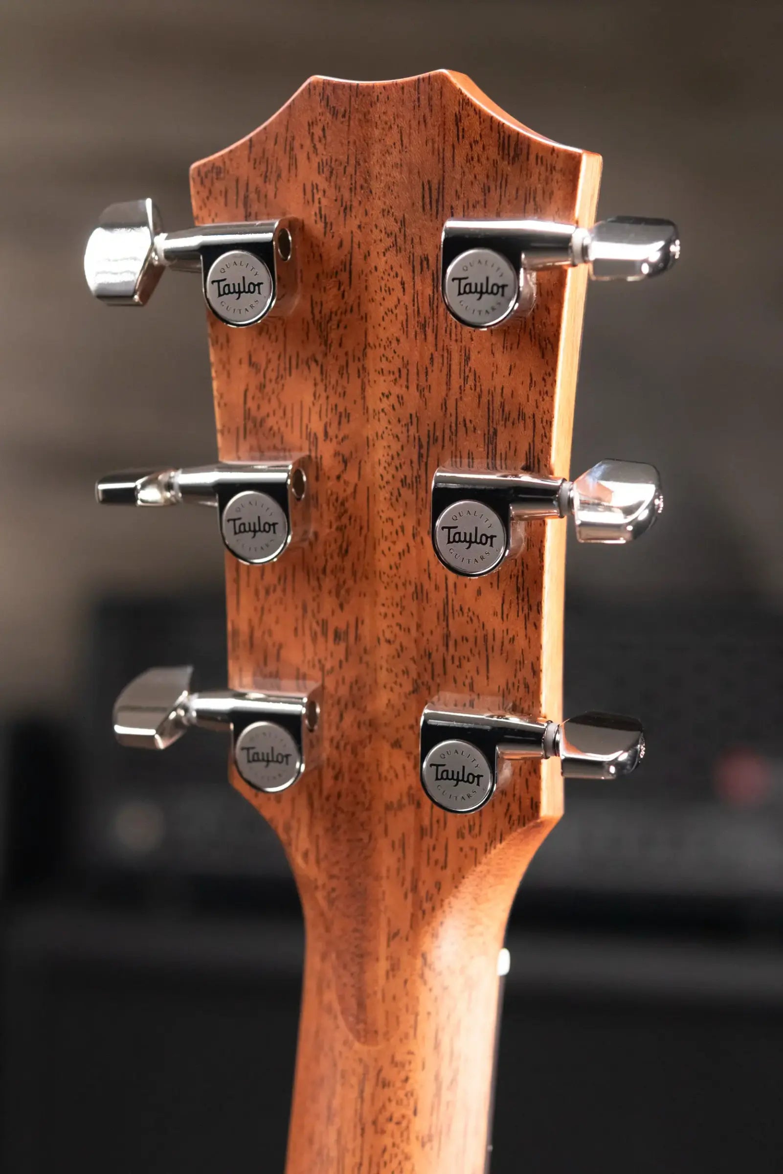 Taylor 414ce Studio Grand Auditorium Acoustic/Electric Guitar - Shaded Edge Burst with Gig Bag