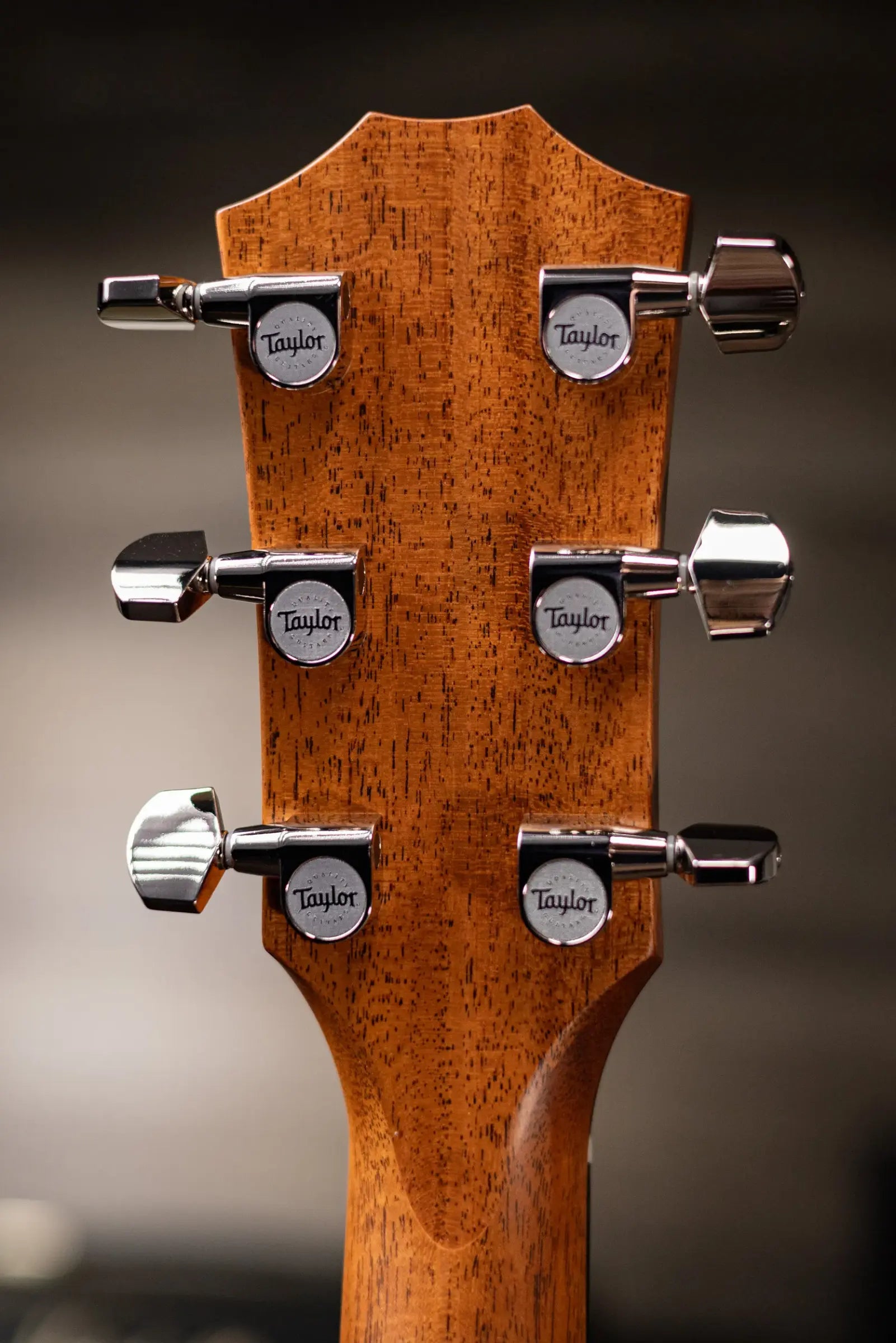 Taylor 414ce Studio Grand Auditorium Acoustic/Electric Guitar - Shaded Edge Burst with Gig Bag