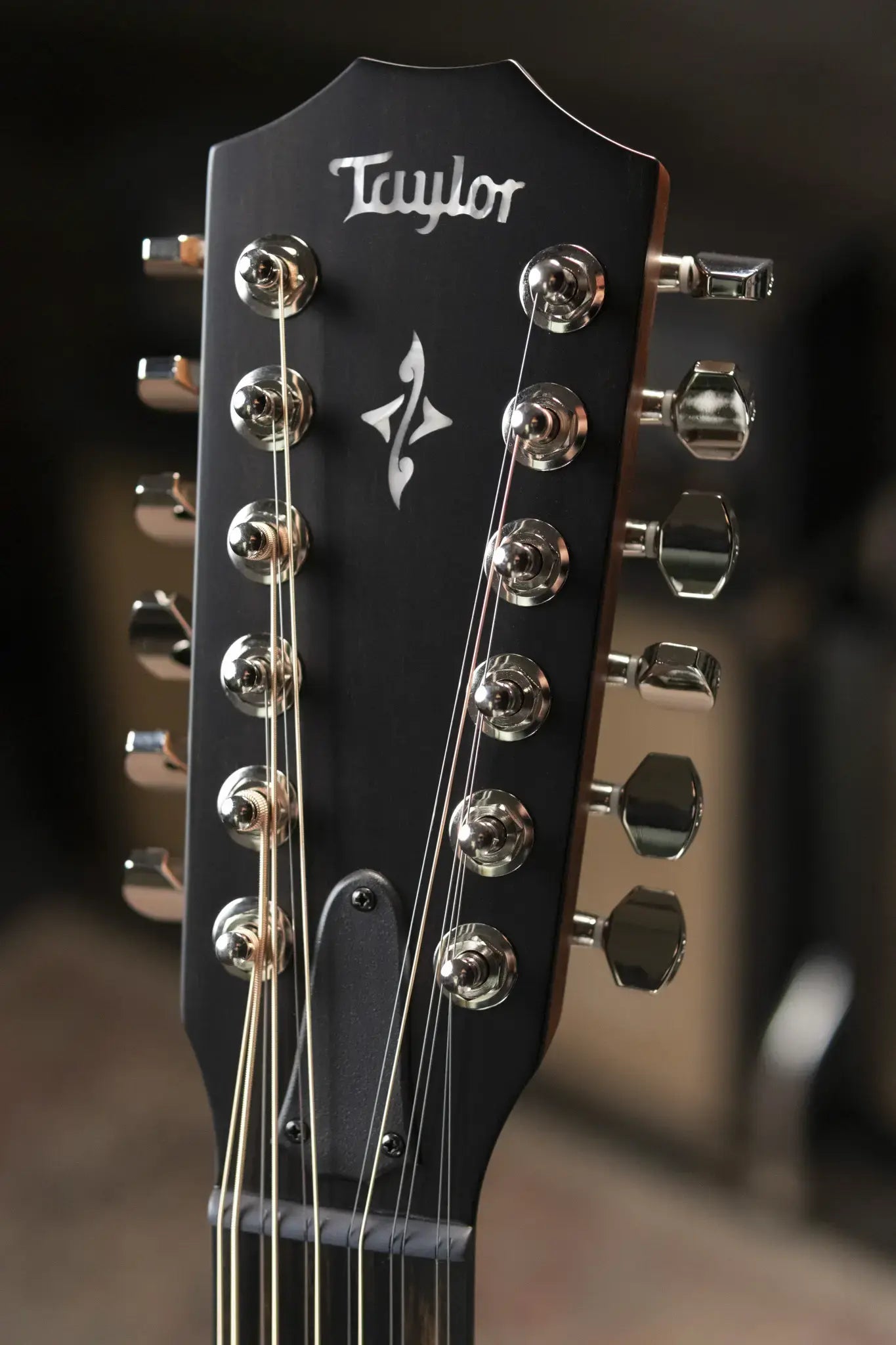 Taylor 454ce 12-String Grand Auditorium Acoustic/Electric Guitar with Hardshell Case