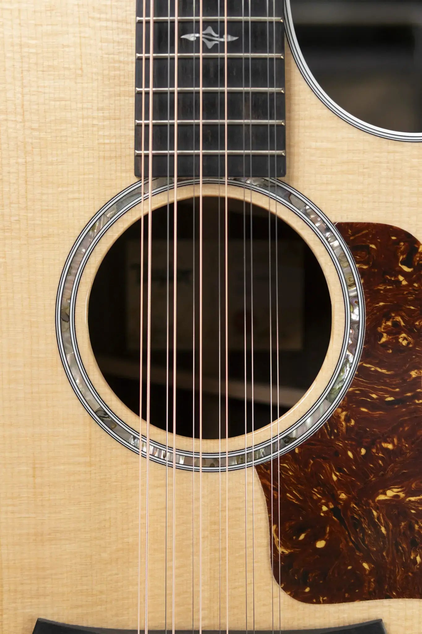Taylor 454ce 12-String Grand Auditorium Acoustic/Electric Guitar with Hardshell Case - Floor Model