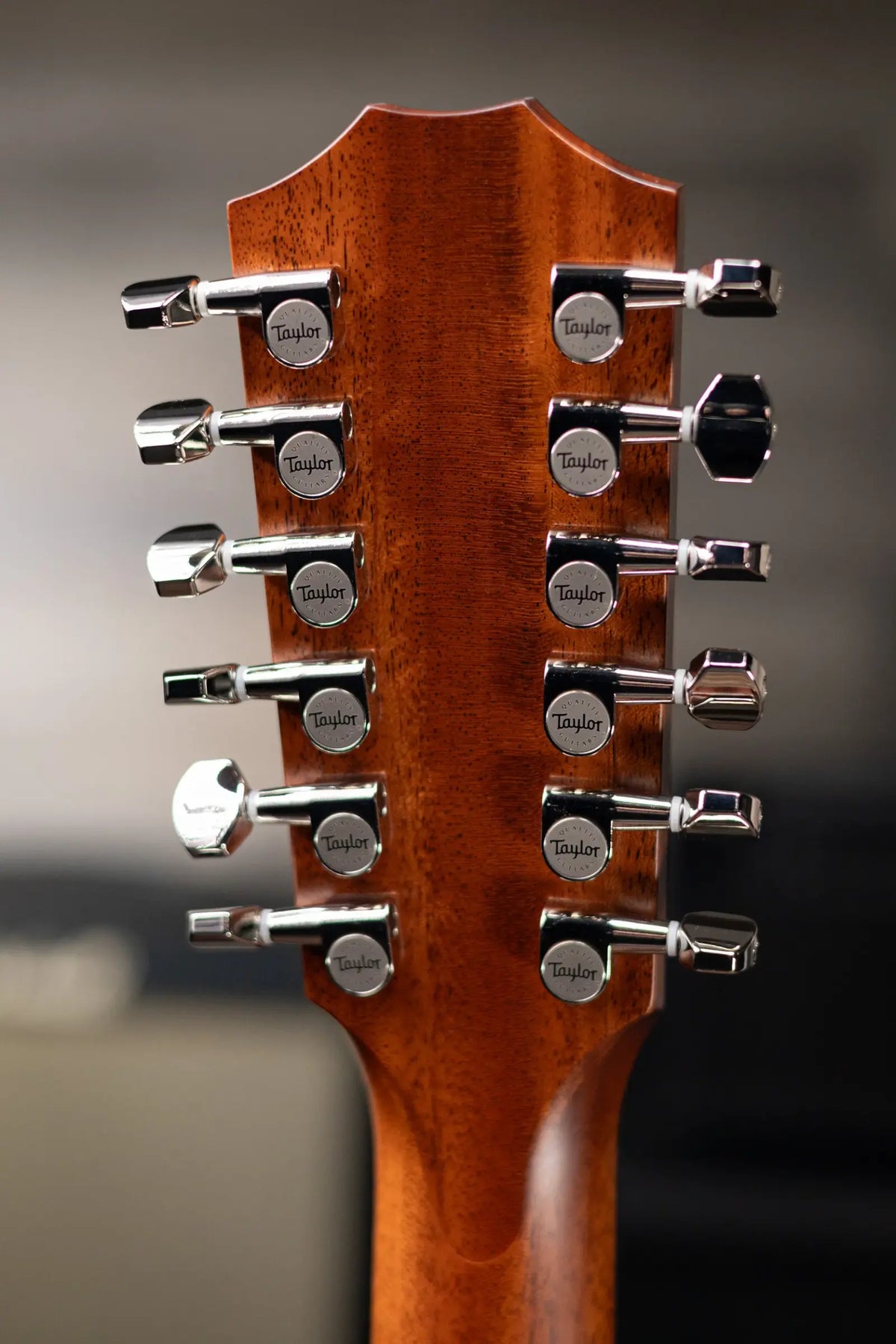 Taylor 454ce 12-String Grand Auditorium Acoustic/Electric Guitar Natural with Hardshell Case