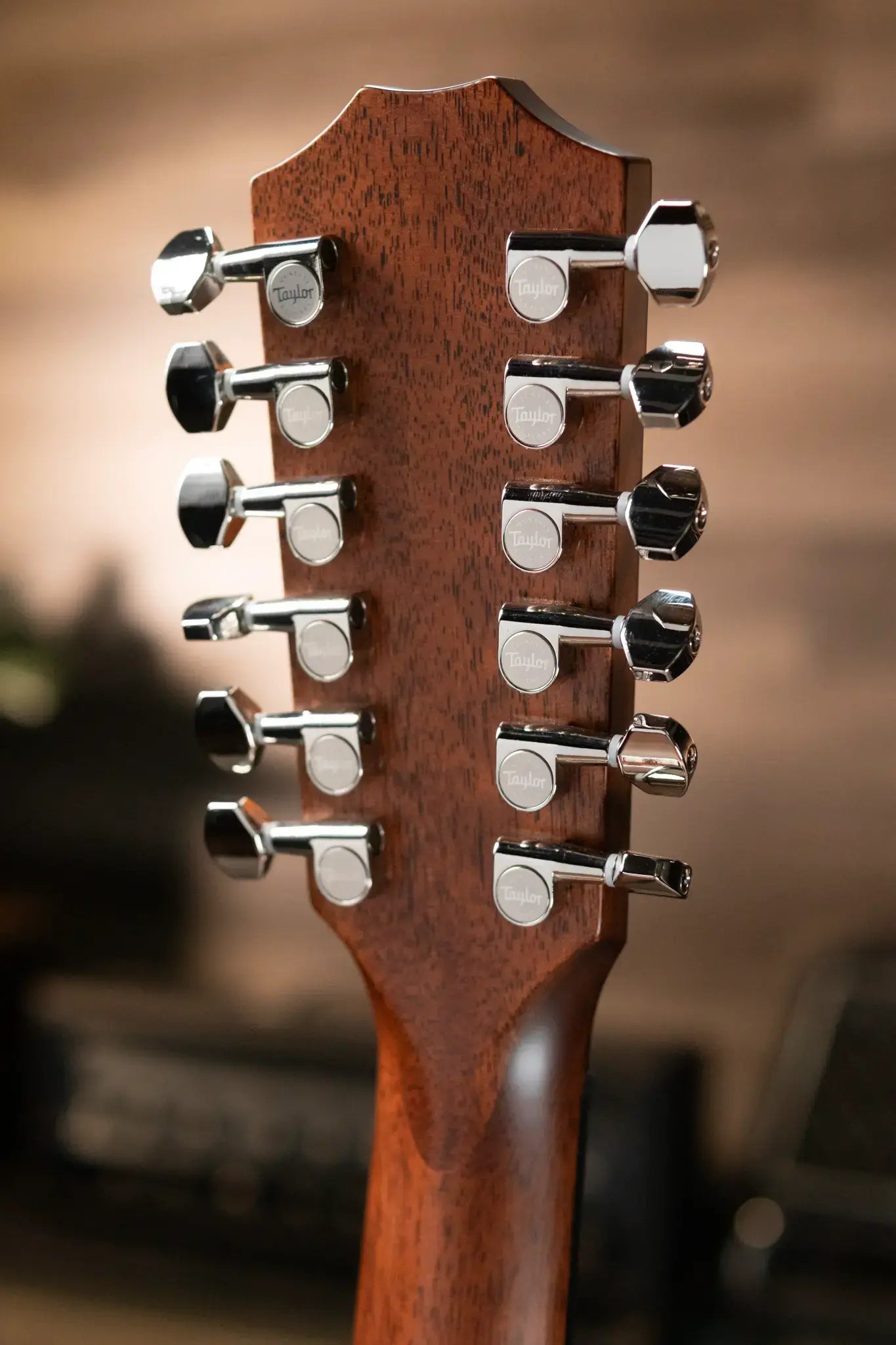 Taylor 454ce-R 12-String Acoustic/Electric - Tobacco Sunburst Top with Hardshell Case