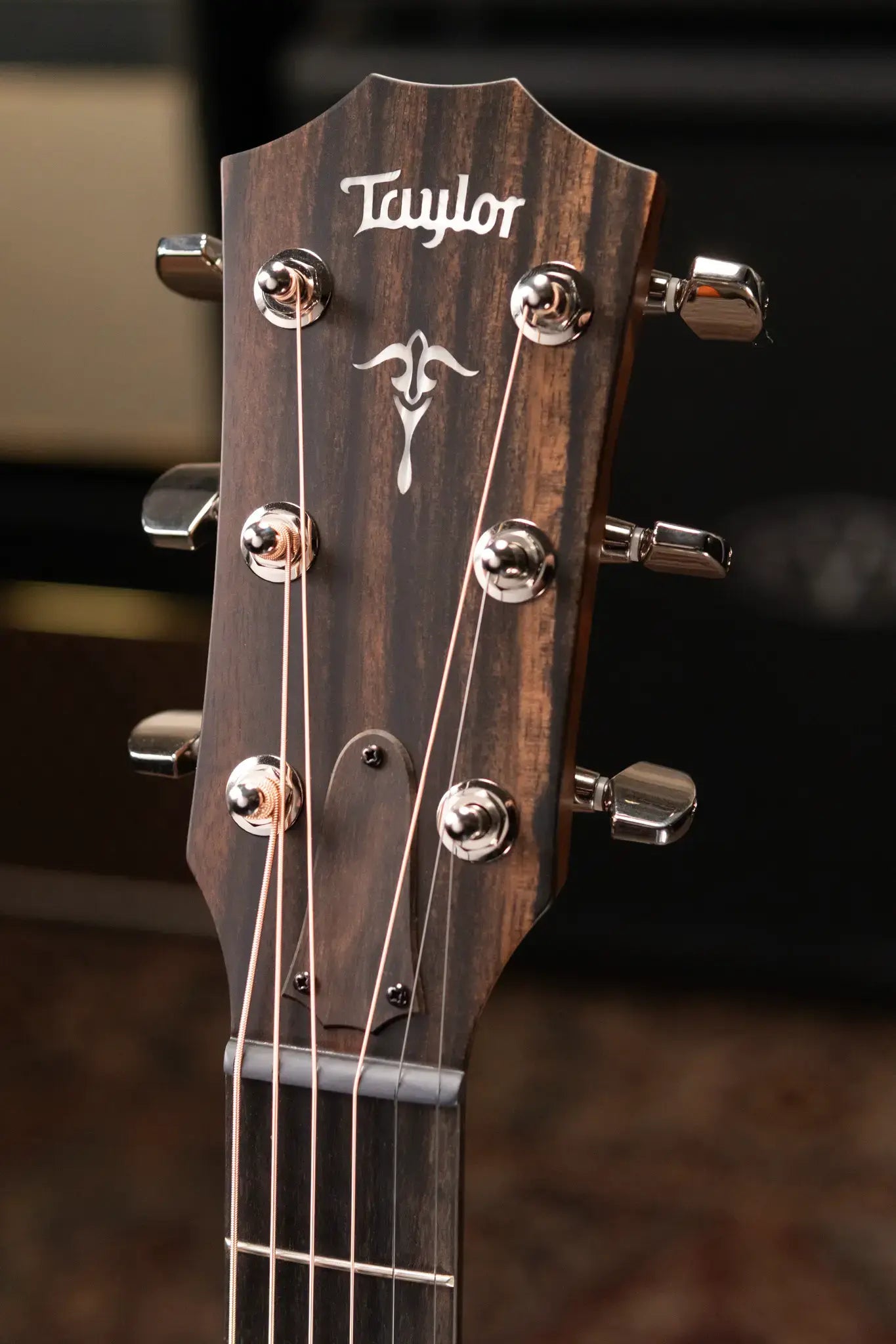 Taylor 512ce Grand Concert Acoustic/Electric Guitar with Hardshell Case