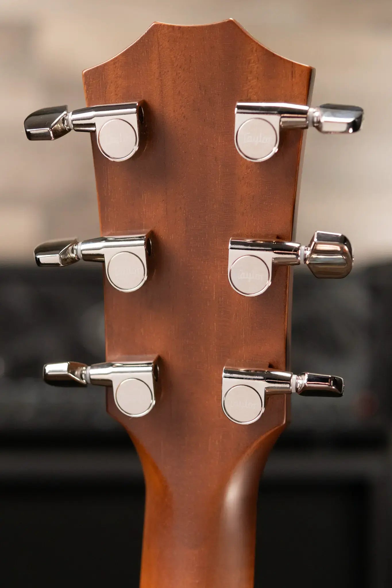 Taylor 512ce Grand Concert Acoustic/Electric Guitar with Hardshell Case - Floor Model