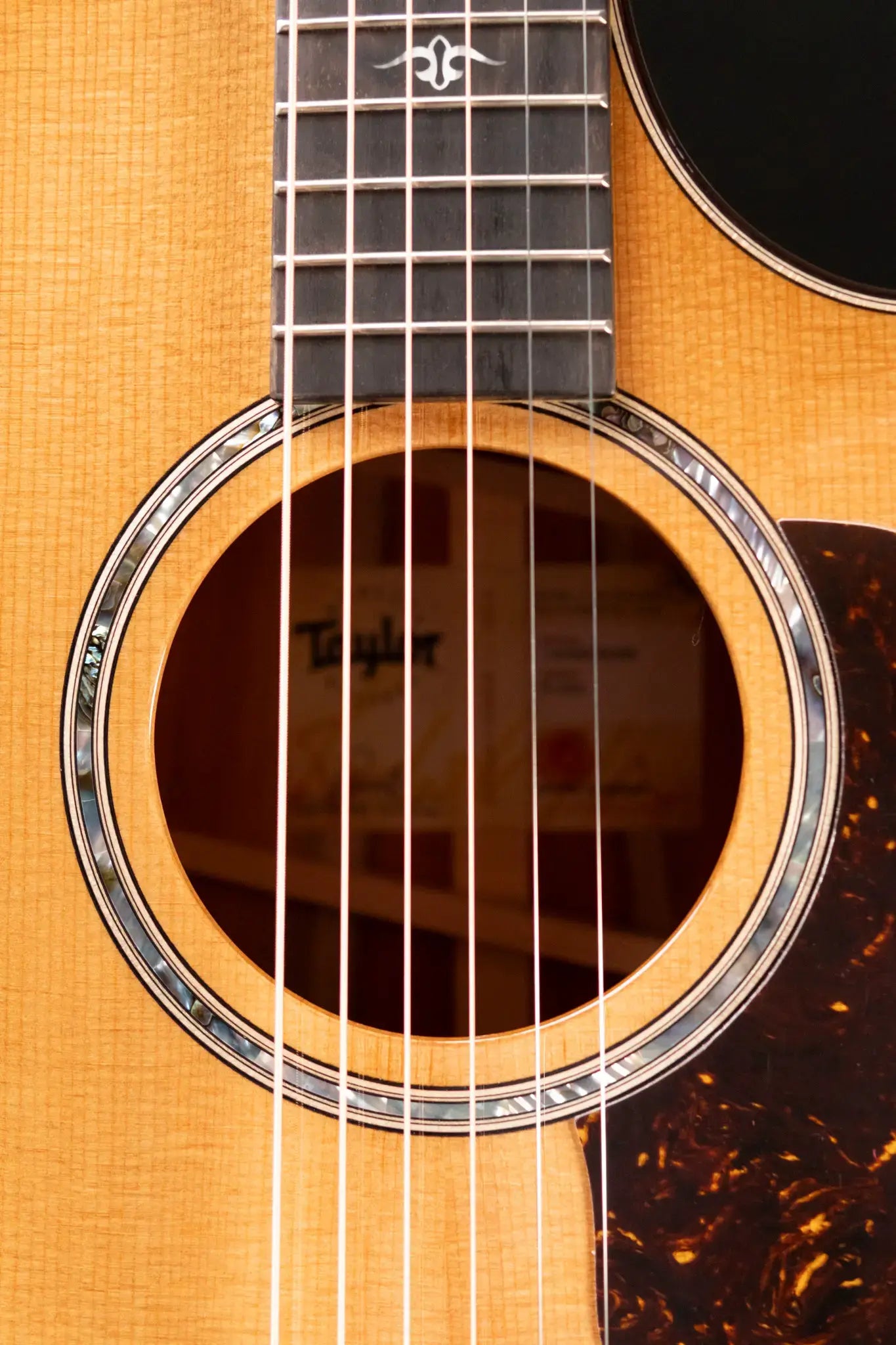 Taylor 512ce Grand Concert Acoustic/Electric Guitar with Hardshell Case - Floor Model