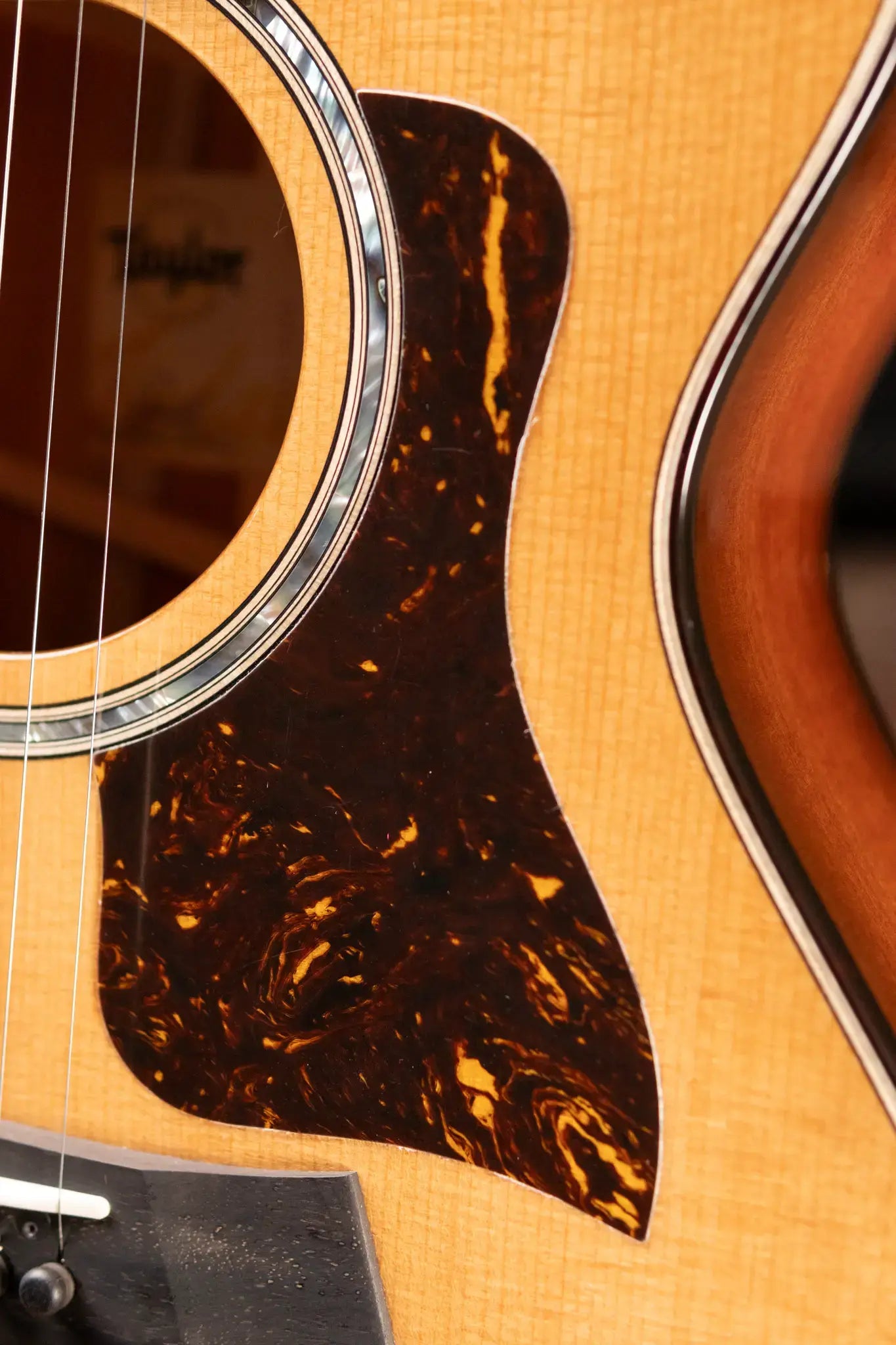 Taylor 512ce Grand Concert Acoustic/Electric Guitar with Hardshell Case - Floor Model