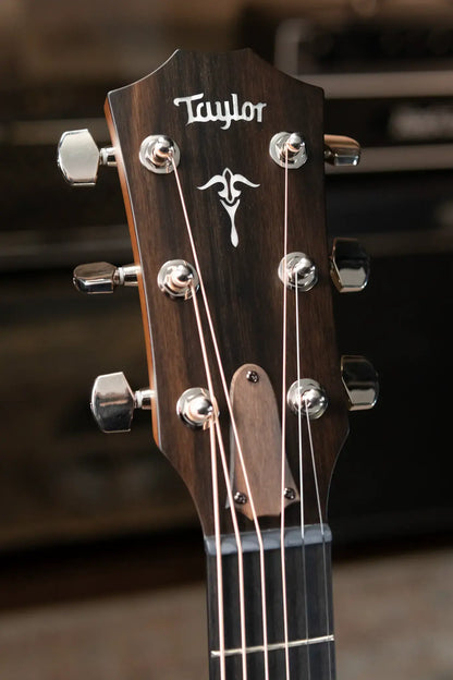 Taylor 514ce Grand Auditorium Acoustic/Electric with Hardshell Case - Factory Demo