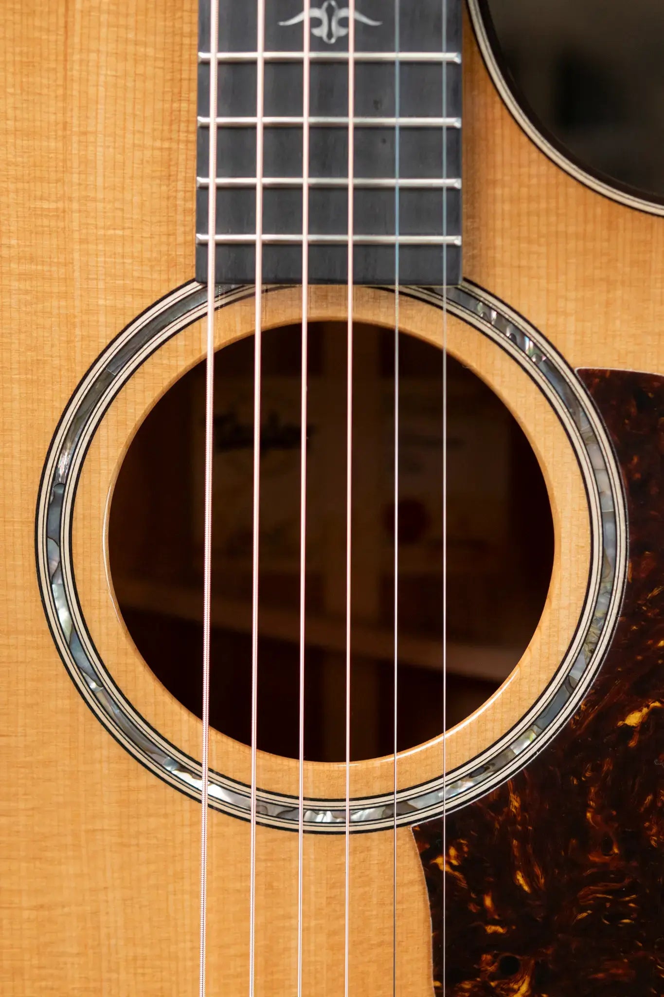 Taylor 514ce Grand Auditorium Acoustic/Electric with Hardshell Case - Factory Demo