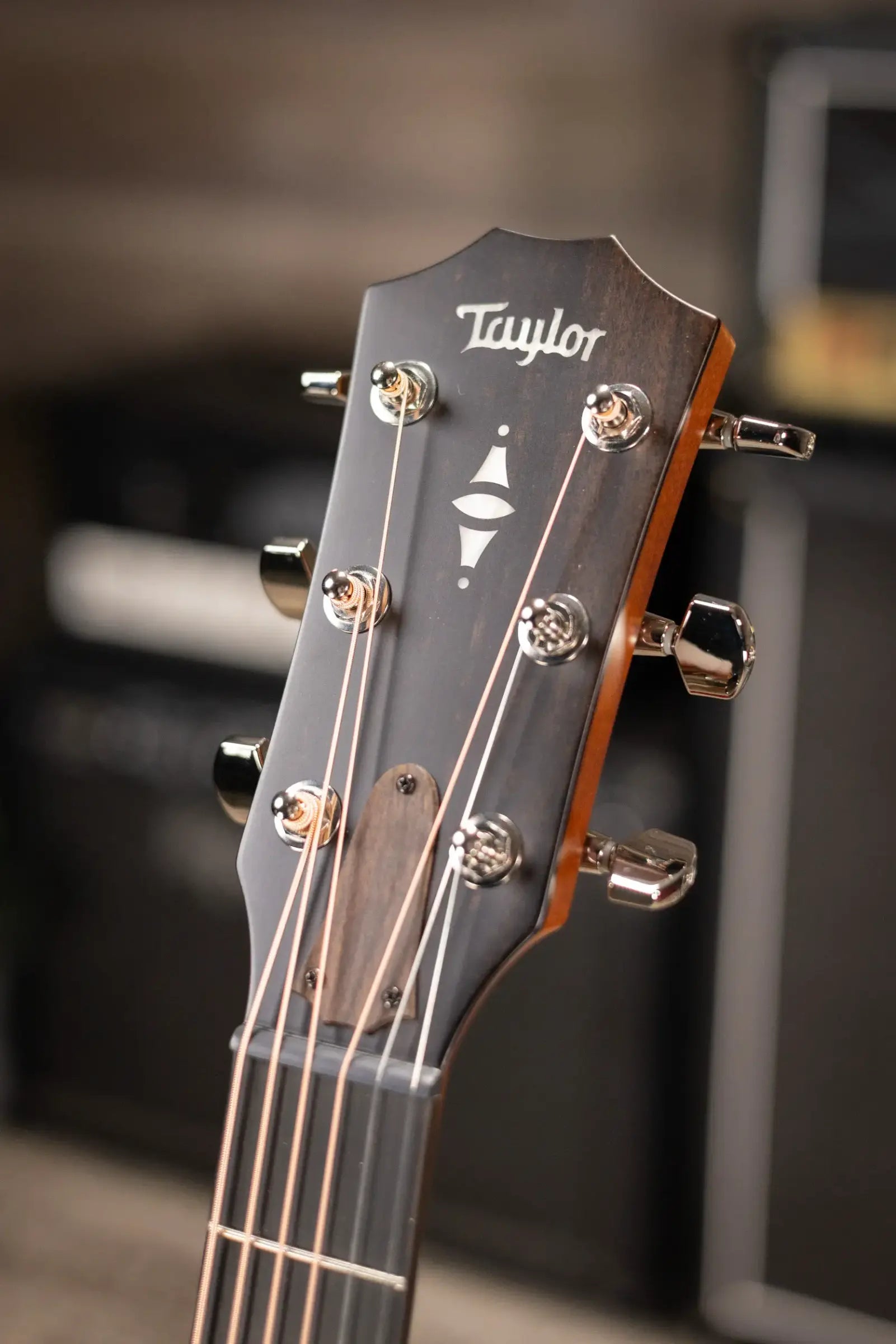 Taylor 517e Grand Pacific Acoustic/Electric Guitar with Hardshell Case - Factory Demo