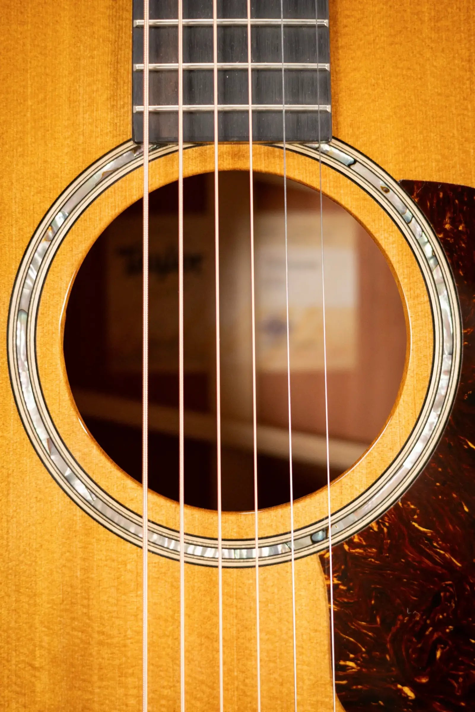 Taylor 517e Grand Pacific Acoustic/Electric Guitar with Hardshell Case - Factory Demo