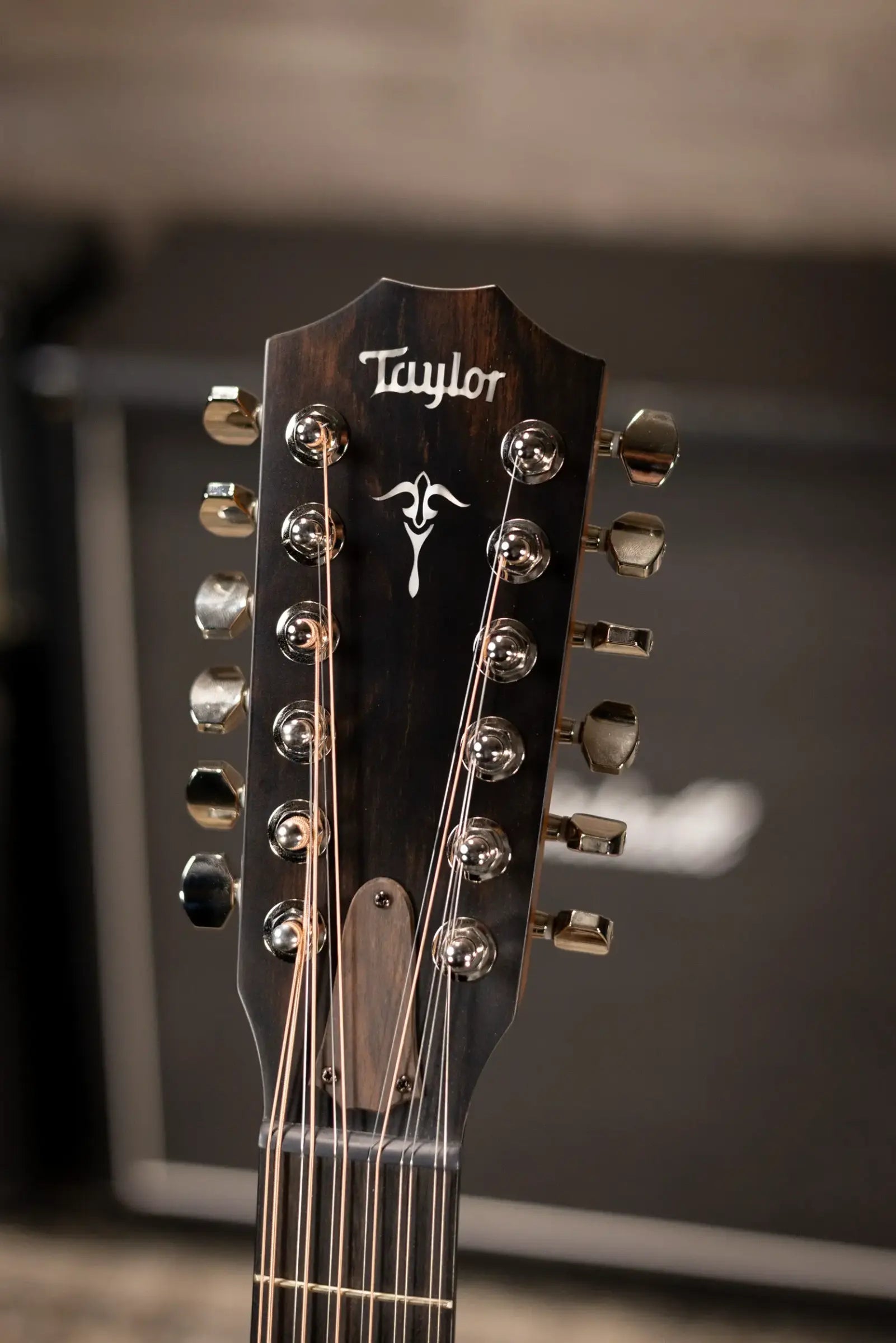 Taylor 552ce 12-String Grand Concert Acoustic/Electric Guitar - Shaded Edge Burst with Hardshell Case - Used