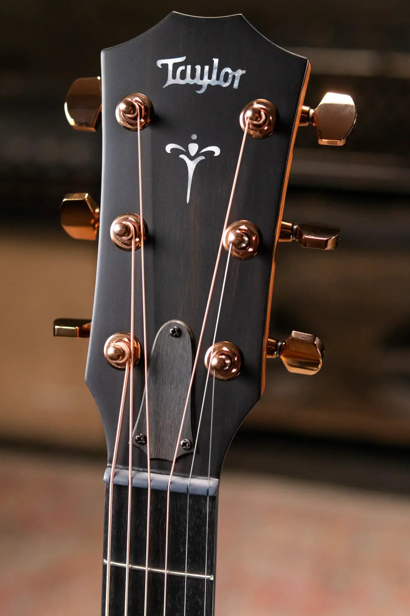 Taylor 722ce Grand Concert Acoustic/Electric Guitar with Hardshell Case - Factory Demo