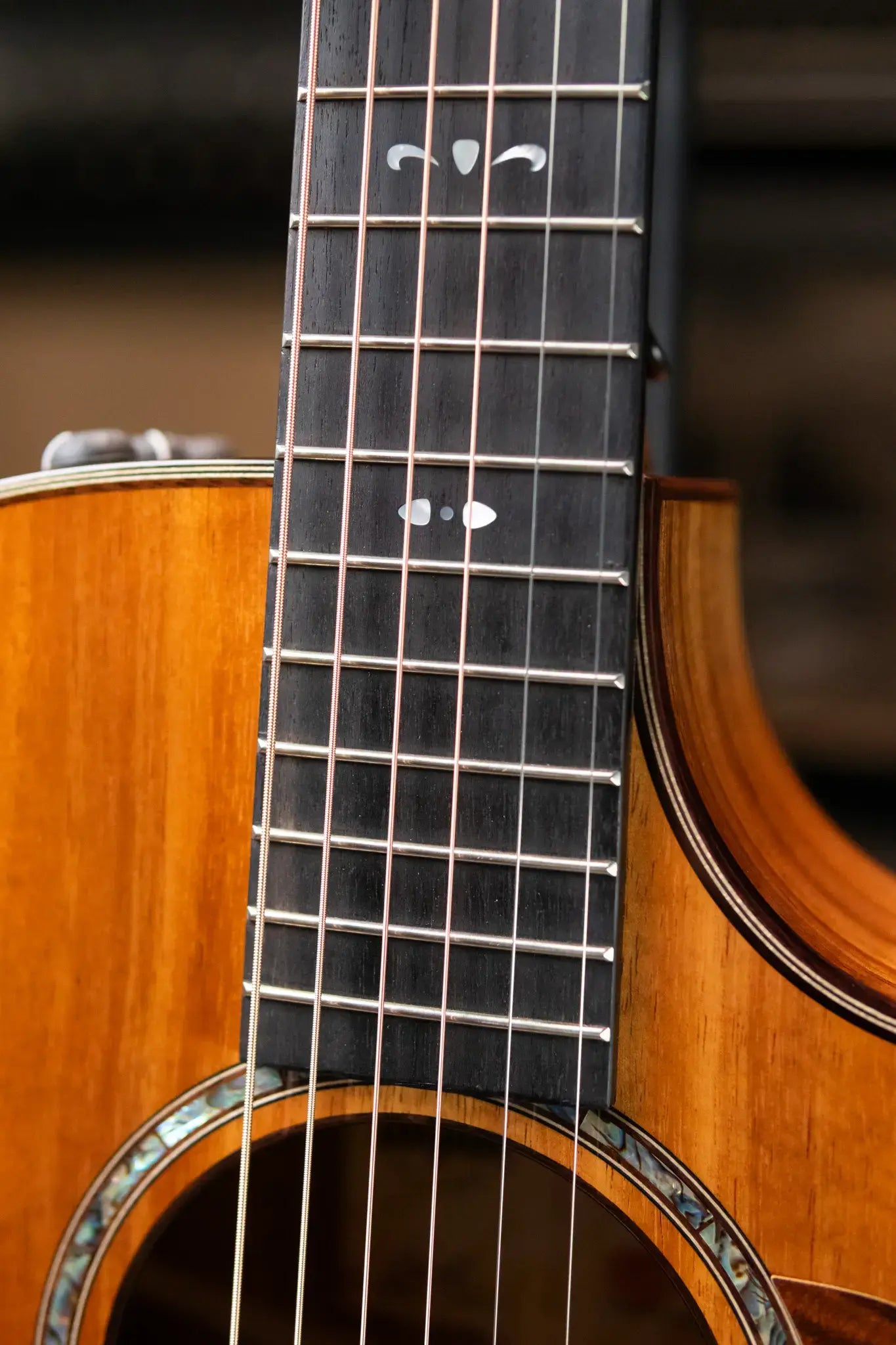 Taylor 722ce Grand Concert Acoustic/Electric Guitar with Hardshell Case - Factory Demo